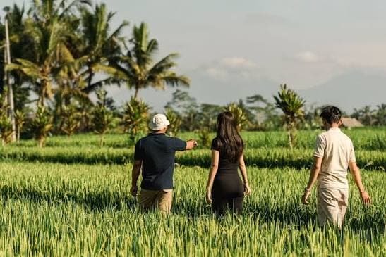 Half Day Denpasar City Tour - Domestik Market