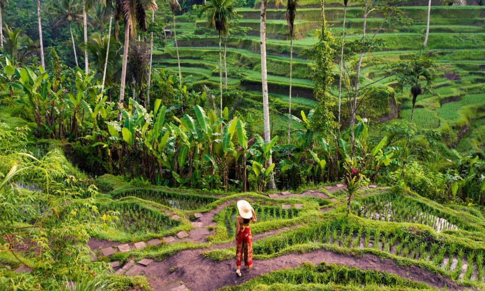 UBUD CULTURAL TOUR