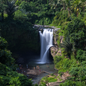 Paket Wisata Bali – Fullday Ubud Tour